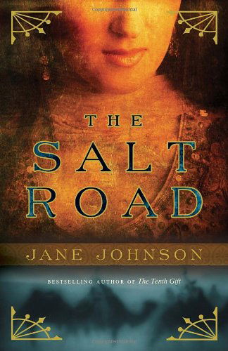 Cover for Jane Johnson · The Salt Road (Paperback Book) (2011)