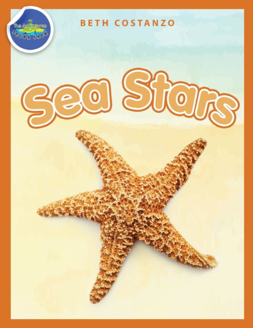 Cover for Beth Costanzo · Sea Stars Activity Workbook ages 4-8 (Pocketbok) (2021)