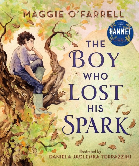 Cover for Maggie O'Farrell · The Boy Who Lost His Spark (Gebundenes Buch) (2022)