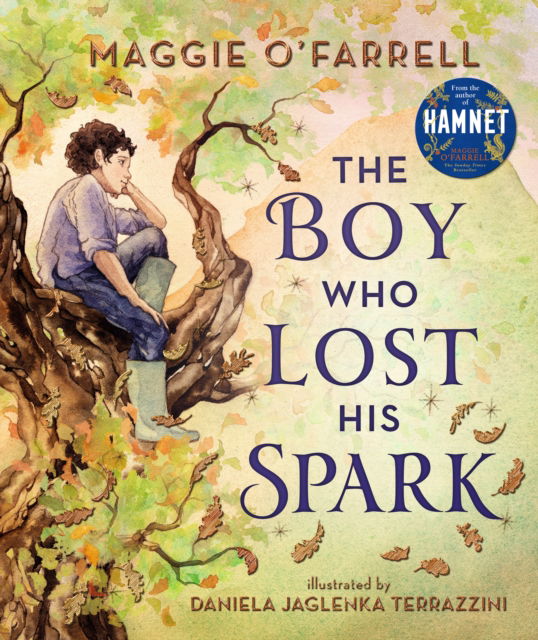 Cover for Maggie O'Farrell · The Boy Who Lost His Spark (Hardcover bog) (2022)