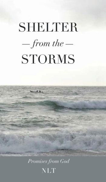 Shelter from the Storms; Promises from God - Linda Jones - Bøger - Xulon Press - 9781498430012 - 20. marts 2015