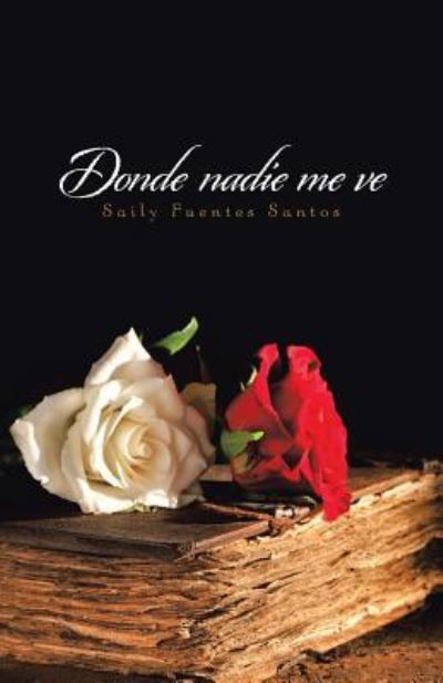 Cover for Saily Fuentes Santos · Donde nadie me ve (Pocketbok) (2017)