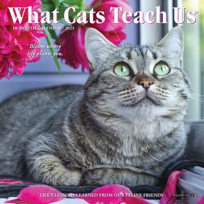 Cover for Willow Creek Press · What Cats Teach Us 2025 7 X 7 Mini Wall Calendar (Calendar) (2024)