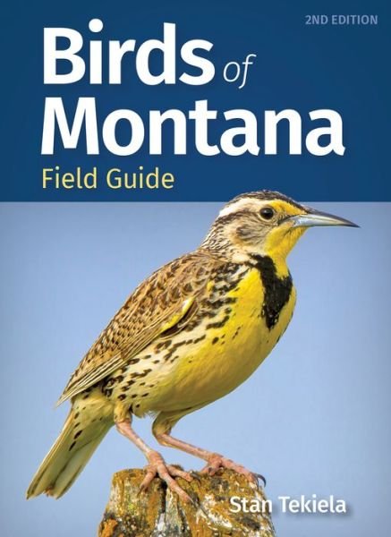 Cover for Stan Tekiela · Birds of Montana Field Guide - Bird Identification Guides (Paperback Book) [2 Revised edition] (2022)