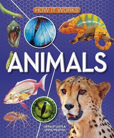 Cover for Gerald Legg · How It Works: Animals - How It Works (Hardcover Book) (2022)