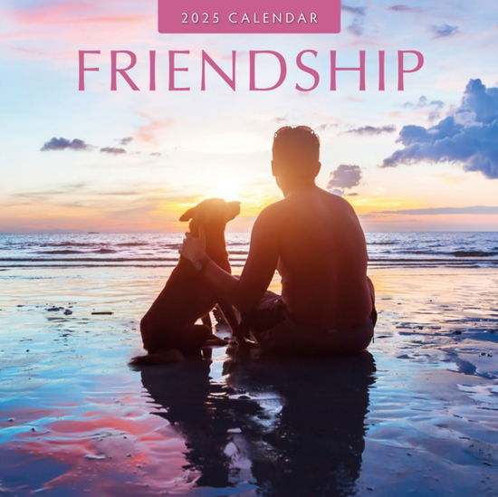 Cover for Red Robin · Friendship 2025 Square Wall Calendar (Paperback Book) (2024)