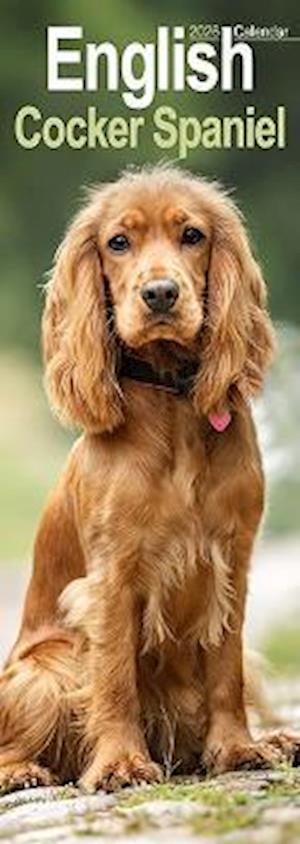 Cover for English Cocker Spaniel  Slim Calendar 2026  Dog Breed Slimline Calendar - 12 Month (Calendar) (2025)