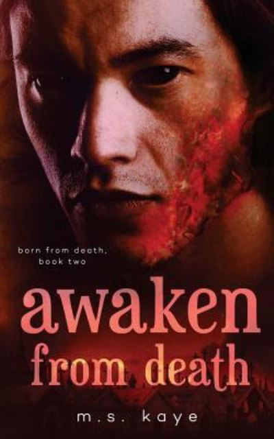 Cover for MS Kaye · Awaken from Death (Paperback Book) (2016)