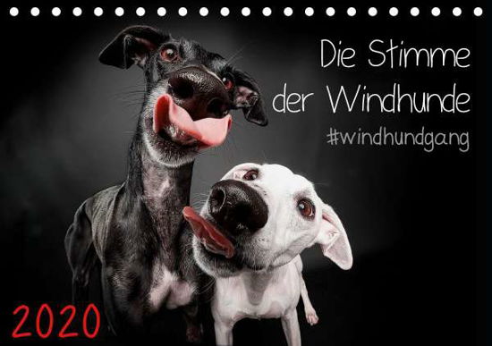 Cover for Gier · Die Stimme der Windhunde (Tischkal (Book)