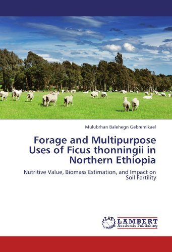 Cover for Mulubrhan Balehegn Gebremikael · Forage and Multipurpose Uses of Ficus Thonningii in Northern Ethiopia: Nutritive Value, Biomass Estimation, and Impact on Soil Fertility (Paperback Bog) (2011)