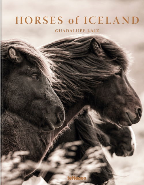 Cover for Guadalupe Laiz · Horses of Iceland (Hardcover Book) (2025)