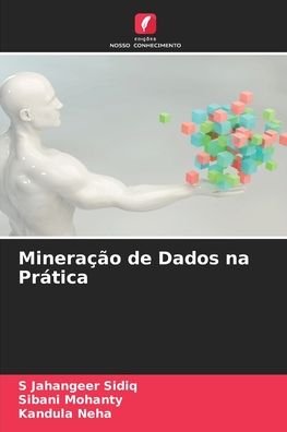 Cover for S Jahangeer Sidiq · Mineracao de Dados na Pratica (Paperback Book) (2021)