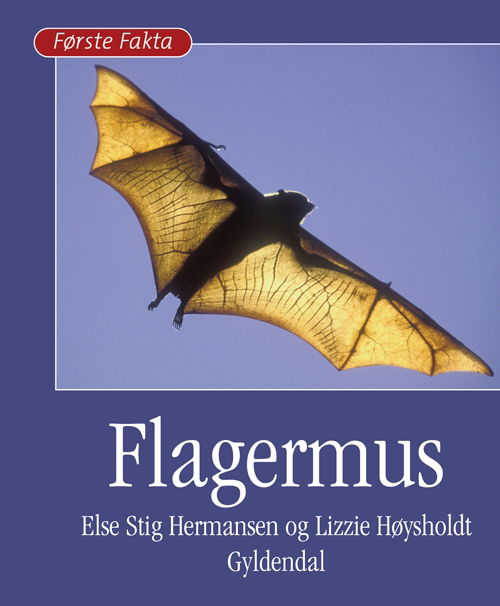 Cover for Lizzi Høysholdt; Else Stig Hermansen · Første Fakta: Flagermus (Bound Book) [1. wydanie] [Indbundet] (2009)