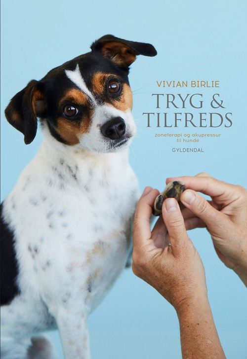 Cover for Vivian Birlie · Tryg og tilfreds (Innbunden bok) [1. utgave] (2018)