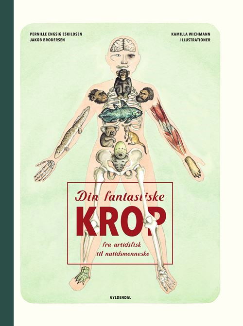 Cover for Jakob Brodersen; Pernille Engsig Eskildsen; Kamilla Wichmann · Din fantastiske krop - fra urtidsfisk til nutidsmenneske (Bound Book) [1º edição] (2023)