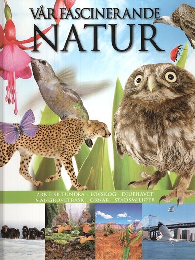 Cover for Caroline Bingham · Vår fascinerande natur (Gebundesens Buch) (2008)