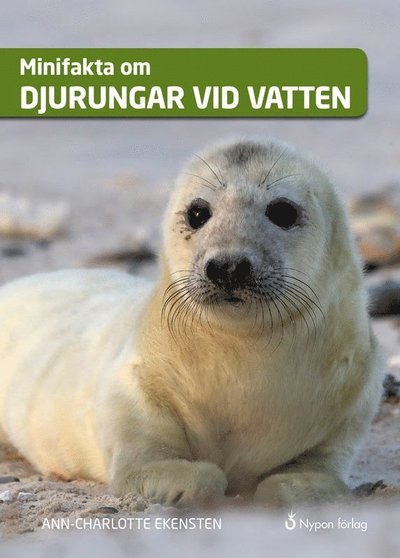 Cover for Ann-Charlotte Ekensten · Minifakta om ...: Minifakta om djurungar vid vatten (Gebundesens Buch) (2019)