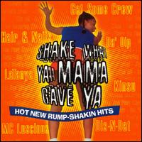 Shake What Ya Mama Gave Ya / Various - Shake What Ya Mama Gave Ya / Various - Music - TVT - 0016581638013 - October 5, 1999