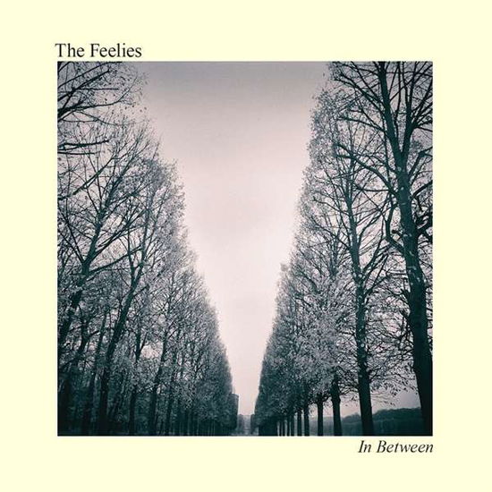 In Between - The Feelies - Musiikki - BAR/NONE RECORDS - 0032862025013 - perjantai 9. heinäkuuta 2021