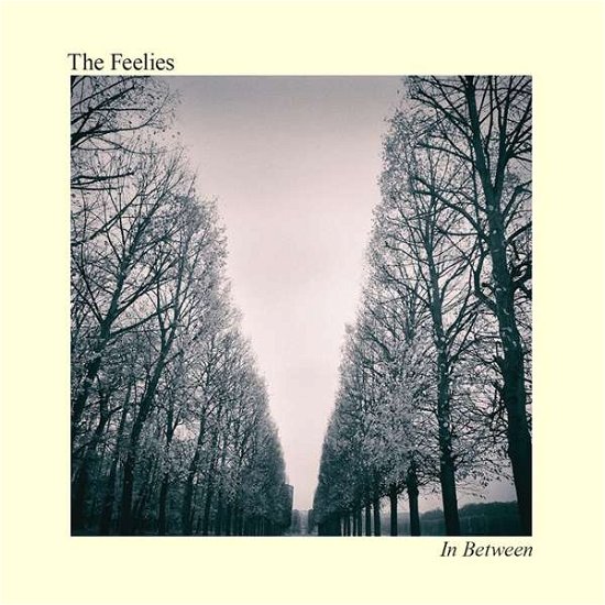 Cover for The Feelies · In Between (LP) (2021)
