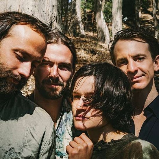 Cover for Big Thief · Two Hands (LP) (2019)