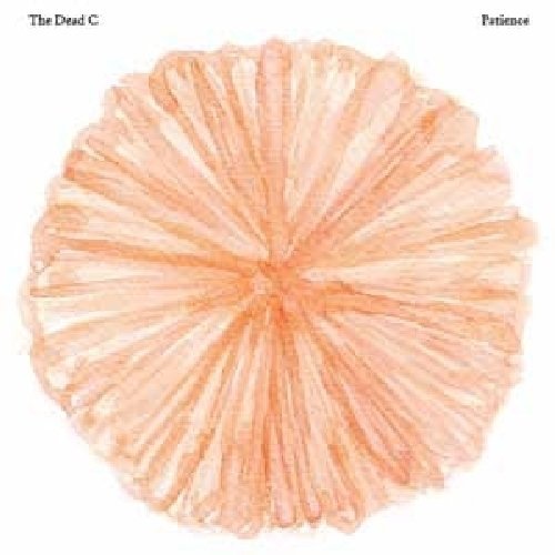 Cover for Dead C · Patience (LP) (2010)
