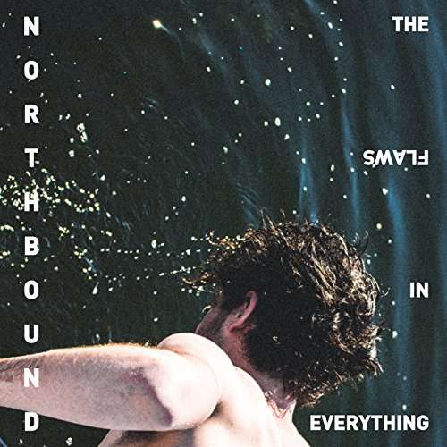 Cover for Northbound · The Flaws In Everything (LP) [Limited edition] (2017)