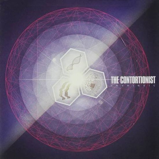 Cover for The Contortionist · Intrinsic (Ltd Blue / Red Vinyl) (LP) [Limited edition] (2023)