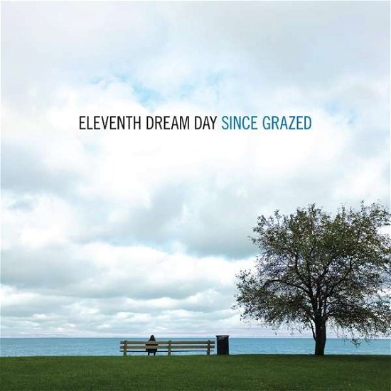 Cover for Eleventh Dream Day · Since Grazed (LP) (2021)