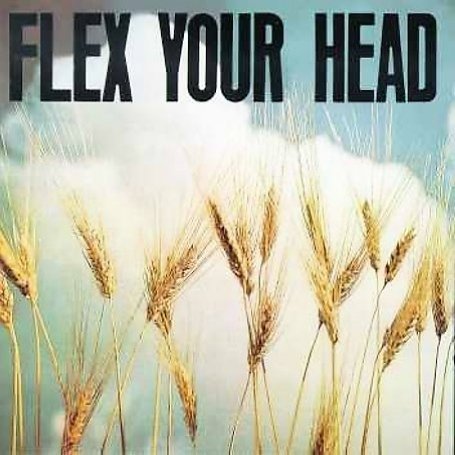 Cover for V/A Indie Rock · Flex Your Head (LP) (1996)