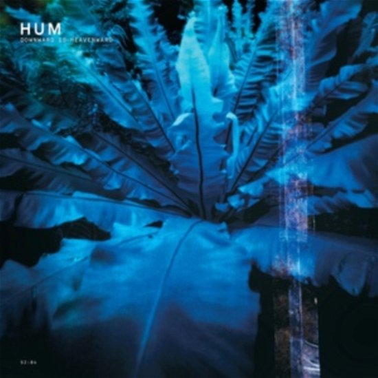 Cover for Hum · Downwards Is Heavenward (LP) [Reissue edition] (2023)