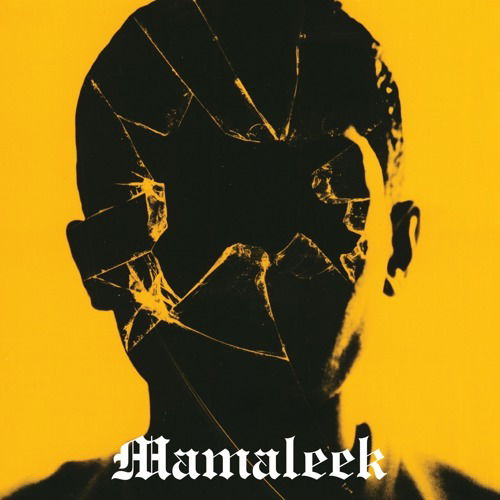 Cover for Mamaleek · Out of Time (LP) (2018)