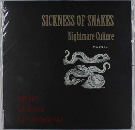 Sickness of Snakes - Nightmare Culture - Musik - SOLEILMOON - 0753907788013 - 1. oktober 2013