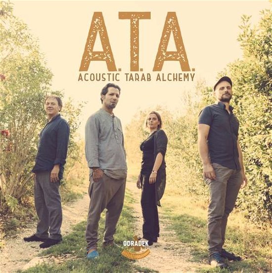 Cover for A.t.a. · Acoustic Tarab Alchemy (CD) (2018)