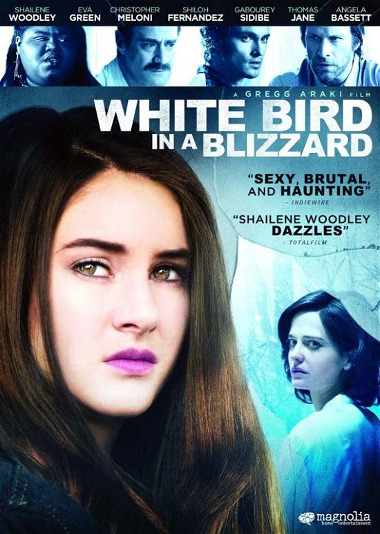 Cover for White Bird in a Blizzard DVD (DVD) (2015)