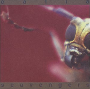 Cover for Calla · Calla &amp; Scavengers (CD) (2004)