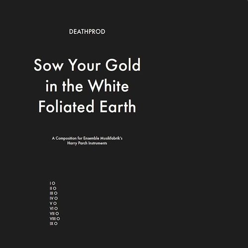 Sow Your Gold in the White Foliated Earth - Deathprod - Music - SMALLTOWN SUPERSOUND - 7072822402013 - October 7, 2022