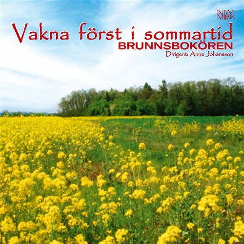 Cover for Brunnsbokoren · Vakna Forst I Sommartid (CD) (2006)