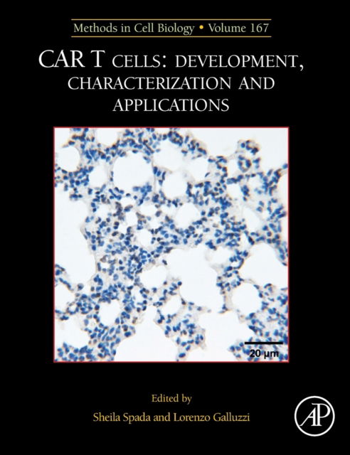 Cover for MCB: CAR T Cells: Development, Characterization and Applications (Hardcover Book) (2022)