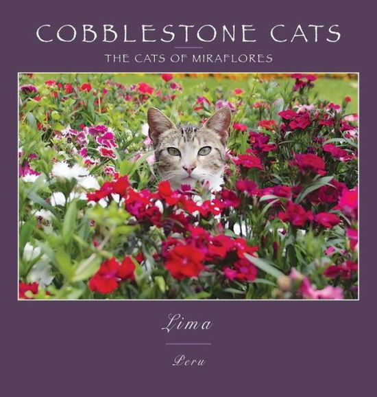 Cover for Alan Panattoni · Cobblestone Cats - Lima : The Cats of Miraflores (Hardcover Book) (2018)