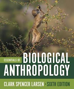 Essentials of Biological Anthropology - Larsen, Clark Spencer (The Ohio State University) - Outro - WW Norton & Co - 9781324084013 - 1 de julho de 2025