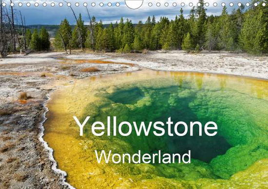 Yellowstone Wonderland (Wall Cale - Denis - Books -  - 9781325553013 - 