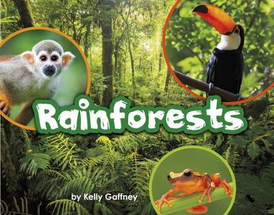 Cover for Kelly Gaffney · Rainforests - Engage Literacy: Engage Literacy Purple - Extension A (Paperback Book) (2016)