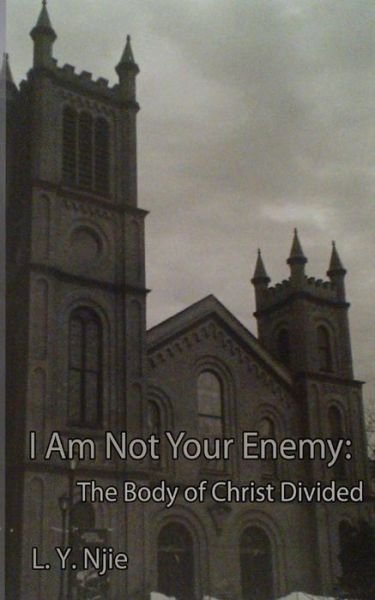 Cover for L y Njie · I Am Not Your Enemy (Paperback Bog) (2014)