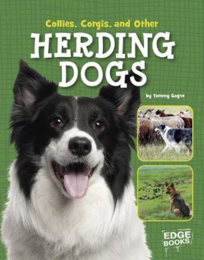 Cover for Tammy Gagne · Collies, Corgis, and other herding dogs (Book) (2016)