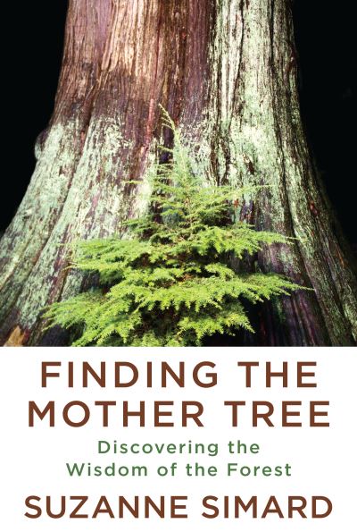 Cover for Suzanne Simard · Finding the Mother Tree: Discovering the Wisdom of the Forest (Paperback Book) (2021)