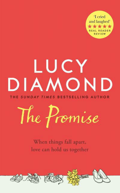 The Promise - Lucy Diamond - Bøger - Pan Macmillan - 9781529027013 - 18. februar 2021