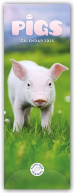 Pigs Slim Calendar 2025 - Carousel Calendars - Books - Carousel Calendars - 9781529845013 - August 23, 2024