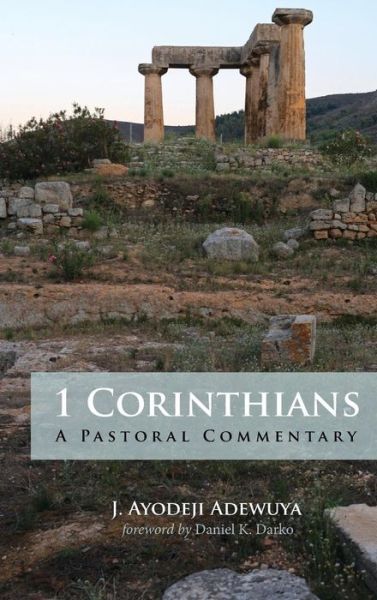 Cover for J Ayodeji Adewuya · 1 Corinthians (Hardcover Book) (2019)