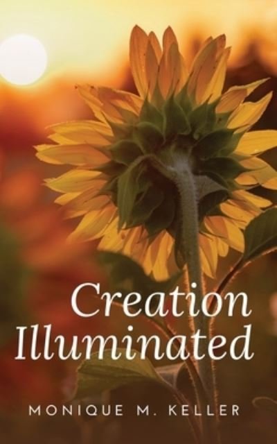 Cover for Monique M Keller · Creation Illuminated (Paperback Book) (2021)